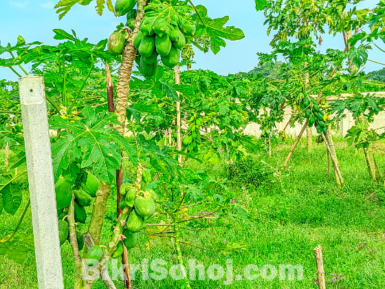Land Sell